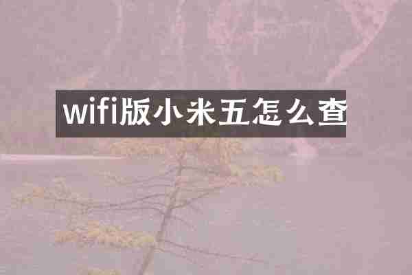 wifi版小米五怎么查