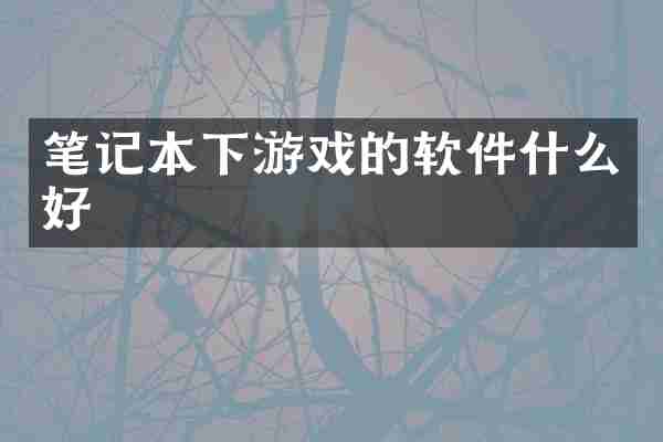 笔记本下游戏的软件什么好
