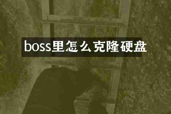 boss里怎么克隆硬盘