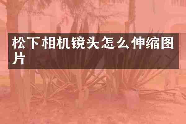 相机镜头怎么伸缩图片