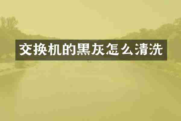 交换机的黑灰怎么清洗