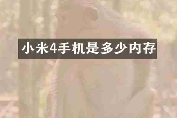 小米4手机是多少内存