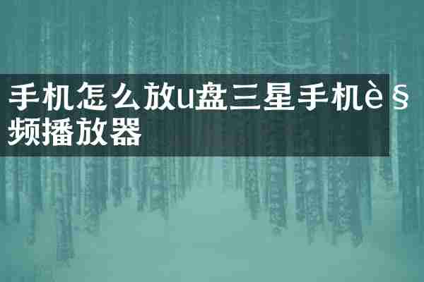 手机怎么放u盘三星手机视频播放器