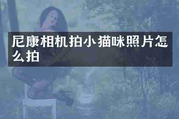 尼康相机拍小猫咪照片怎么拍