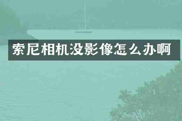 索尼相机没影像怎么办啊