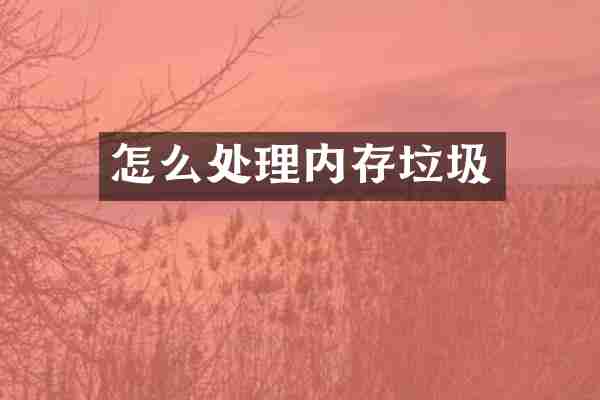 怎么处理内存垃圾
