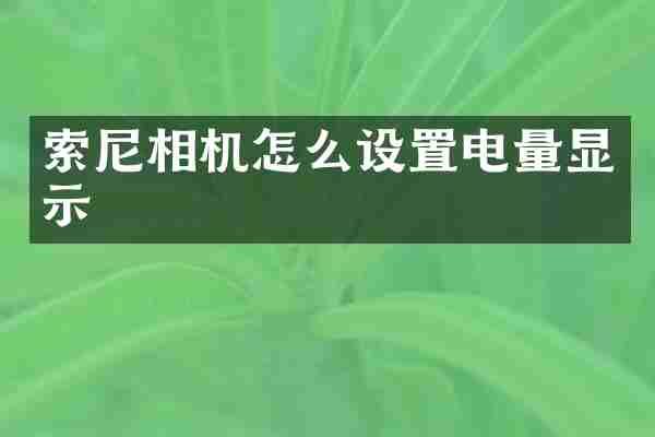 索尼相机怎么设置电量显示