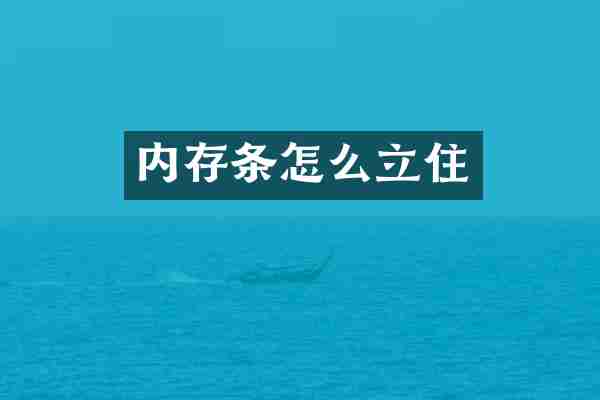 内存条怎么立住