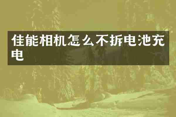 佳能相机怎么不拆电池充电
