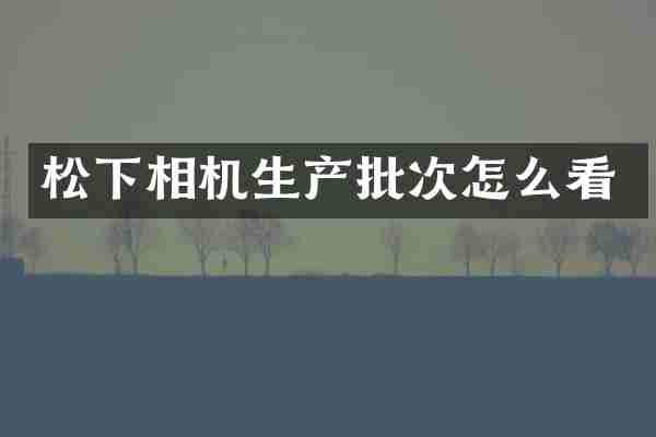 松下相机生产批次怎么看