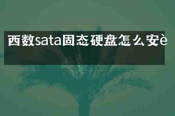 西数sata固态硬盘怎么安装