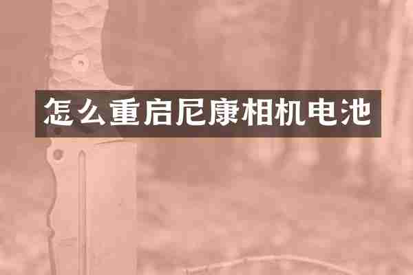怎么重启尼康相机电池