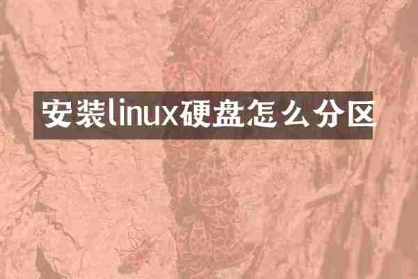安装linux硬盘怎么分区