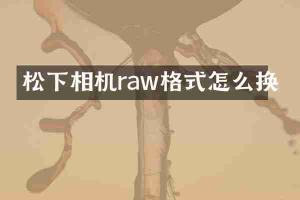 松下相机raw格式怎么换