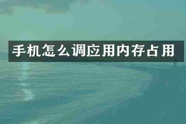 手机怎么调应用内存占用