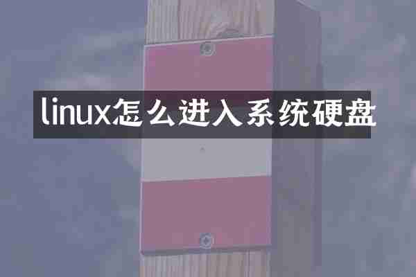linux怎么进入系统硬盘