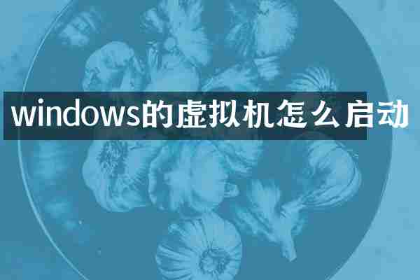 windows的虚拟机怎么启动