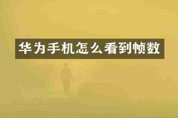 华为手机怎么看到帧数