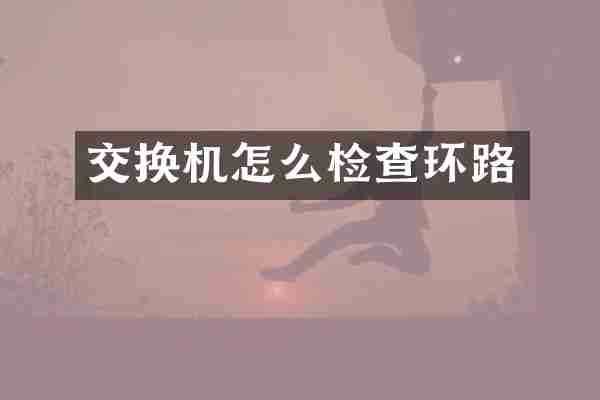 交换机怎么检查环路