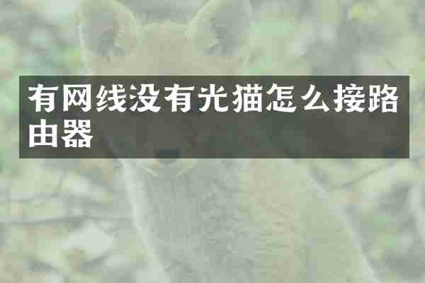 有网线没有光猫怎么接路由器
