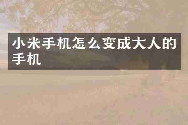 小米手机怎么变成大人的手机