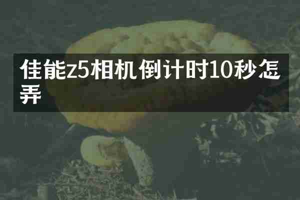 佳能z5相机倒计时10秒怎么弄
