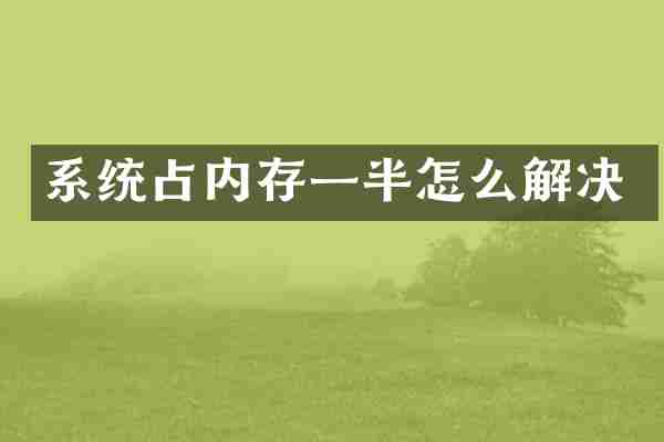 系统占内存一半怎么解决