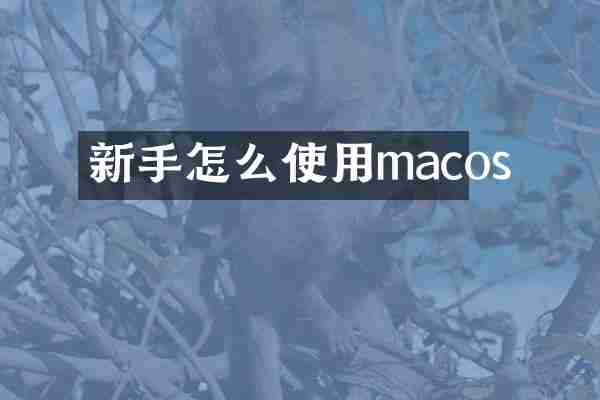新手怎么使用macos