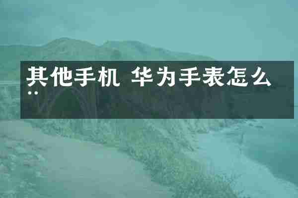 其他手机 华为手表怎么用