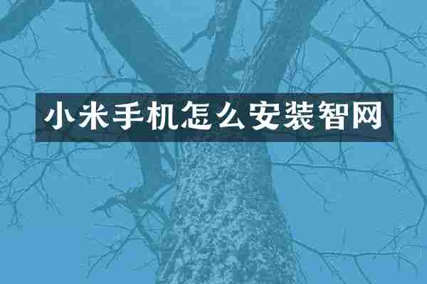 小米手机怎么安装智网