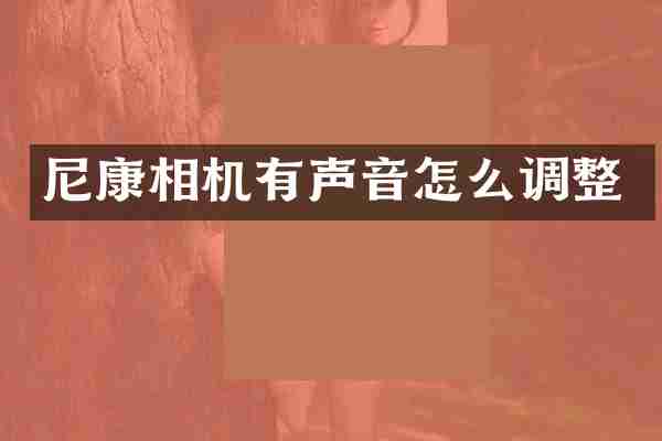 尼康相机有声音怎么调整