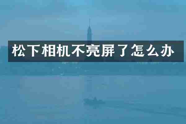 松下相机不亮屏了怎么办