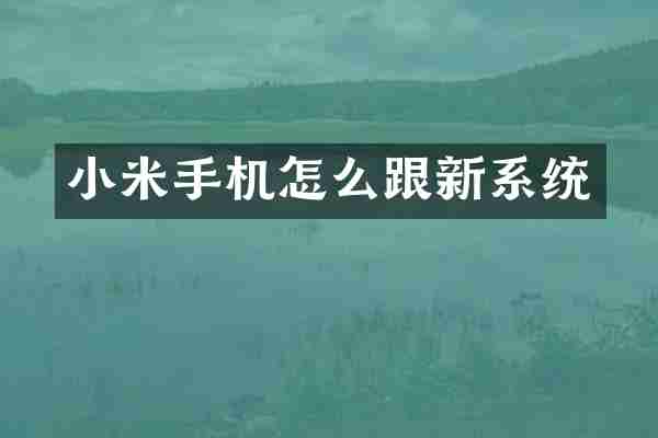 小米手机怎么跟新系统