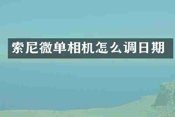 索尼微单相机怎么调日期