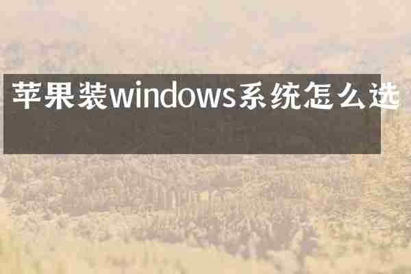 苹果装windows系统怎么选择