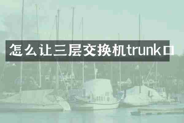 怎么让三层交换机trunk口