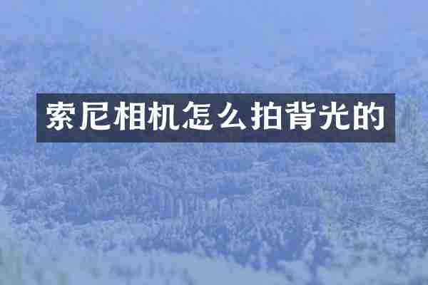 索尼相机怎么拍背光的