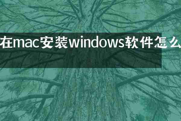 在mac安装windows软件怎么办
