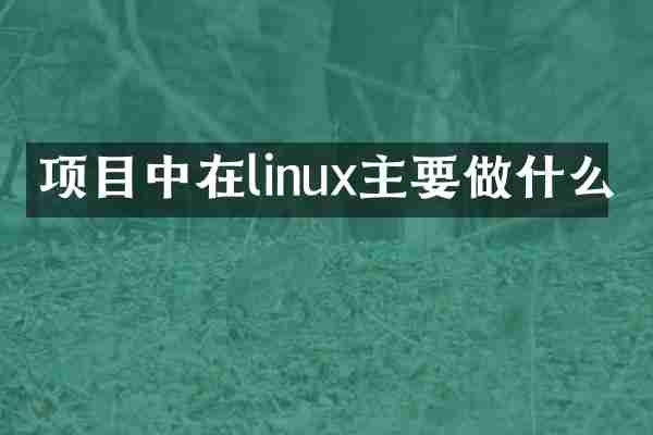 项目中在linux主要做什么