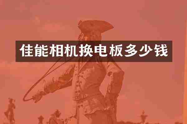 佳能相机换电板多少钱