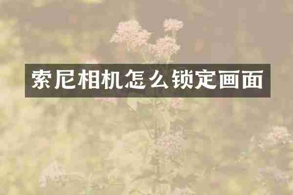 索尼相机怎么锁定画面