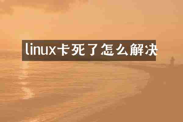 linux卡死了怎么解决