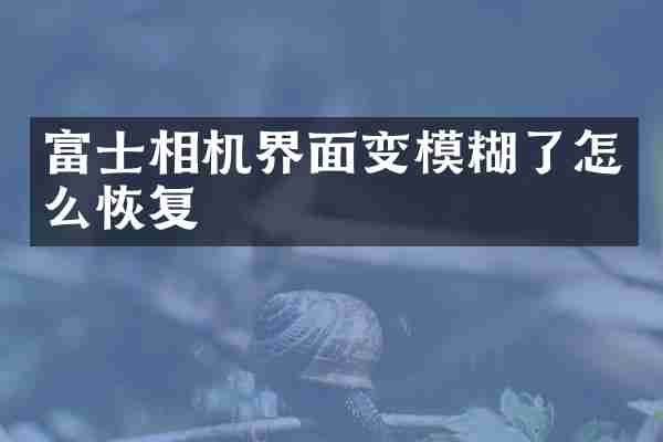 富士相机界面变模糊了怎么恢复