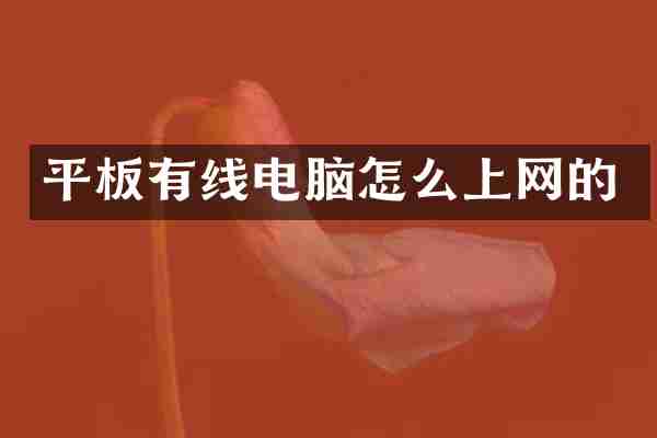 平板有线电脑怎么上网的