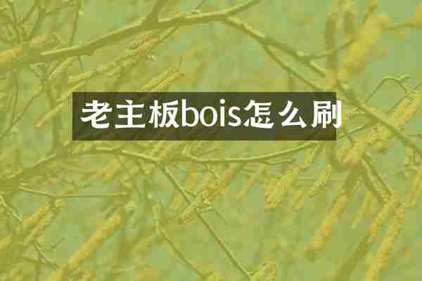 老主板bois怎么刷