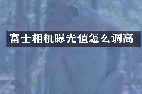 富士相机曝光值怎么调高