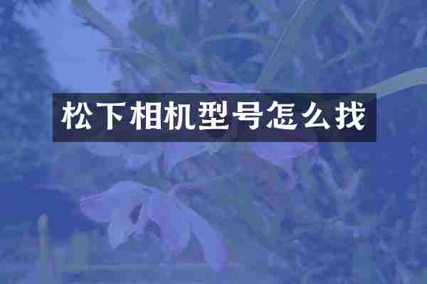 松下相机型号怎么找