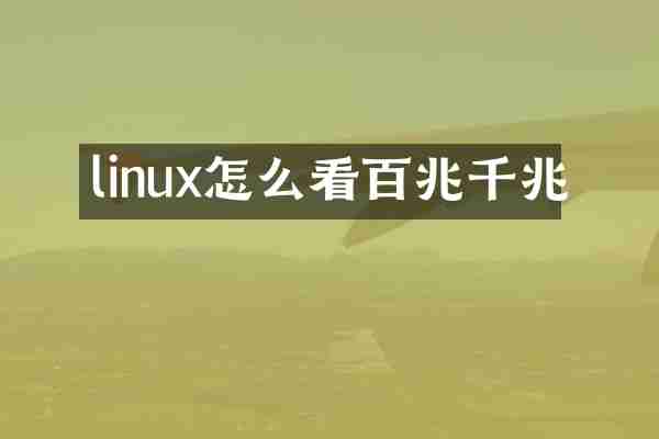 linux怎么看百兆千兆