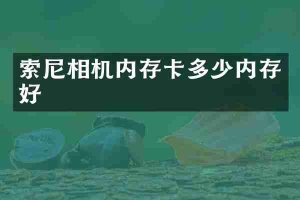 索尼相机内存卡多少内存好