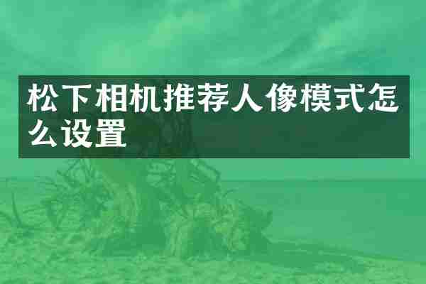 松下相机推荐人像模式怎么设置